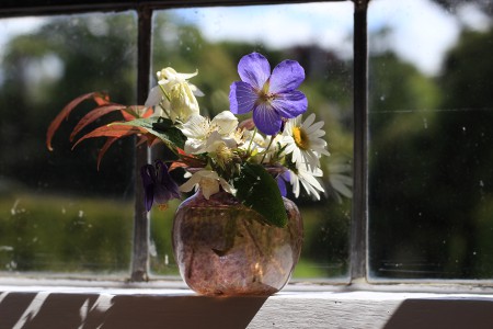 new place flowers